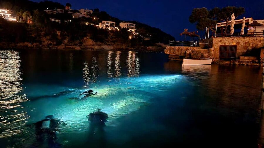 Mallorca: Scuba Diving for Beginners - Safety briefing and gear basics: the “learn it once, trust it later” approach