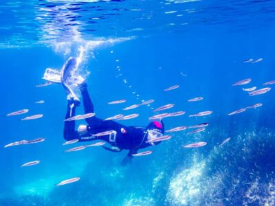 Mallorca: Snorkeling tour with diving instructor from a boat - Cap de Formentor - Getting Set Up at SCUBANEO: MARES Gear That Matters