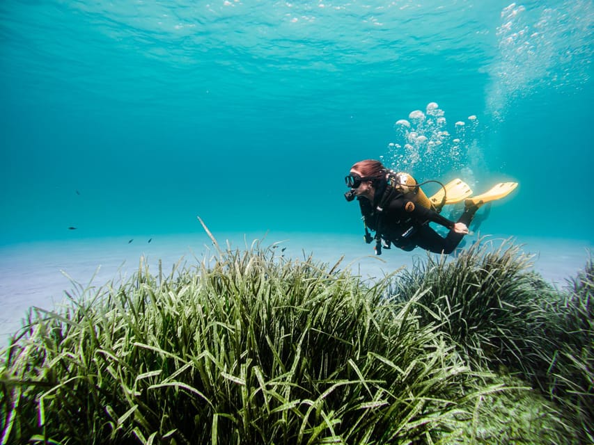 Mallorca: Try Scuba Diving by Boat - Why the Small Group (Max 8) Changes Everything