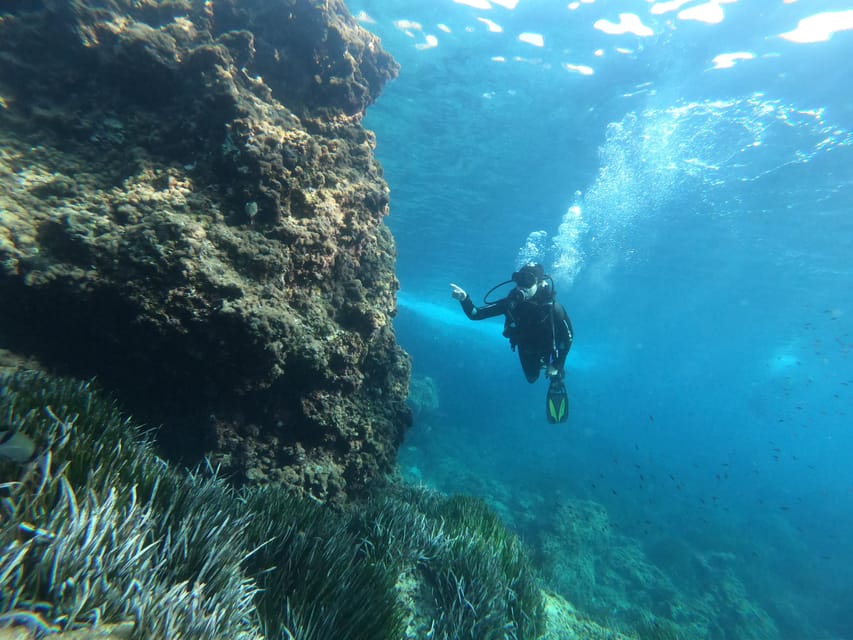 Mallorca: Try Scuba Diving by Boat - FAQ