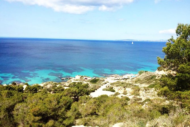 Mallorca: Try Scuba Diving in a Beautiful Nature Reserve - Mallorca’s Cala Delta Bay: why this is a smart first-water choice