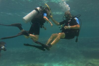 Mallorca: Try Scuba Diving in a Beautiful Nature Reserve - The 3.5-hour schedule: what your time is actually used for