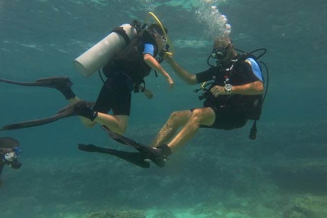 Mallorca: Try Scuba Diving in a Beautiful Nature Reserve - The 3.5-hour schedule: what your time is actually used for