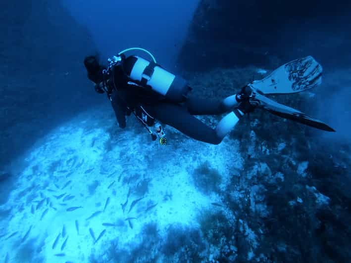 Malta: 2 Scuba Fun Dives for Certified divers - Key things to know before you go