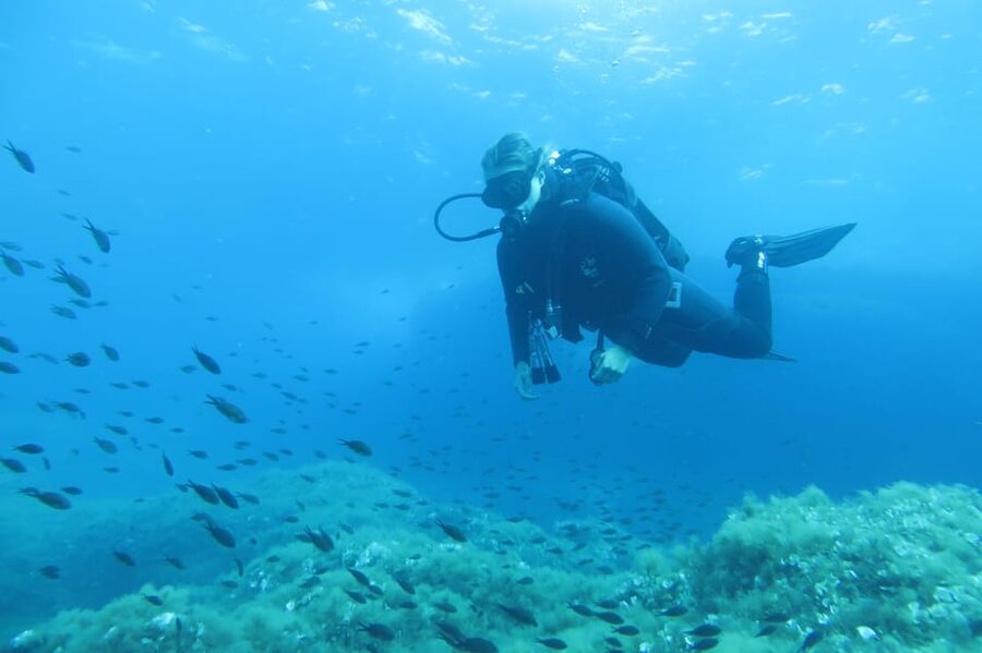 Malta: 2 Scuba Fun Dives for Certified divers - Why Malta’s clear-water scuba plan makes sense year-round