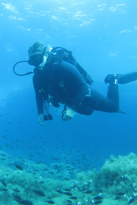 Malta: 2 Scuba Fun Dives for Certified divers - Underwater session 2: reefs, arches, caves, tunnels, plus film-set themes