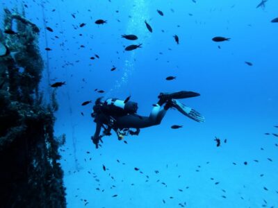 Malta: 2 Scuba Fun Dives for Certified divers - Aquatica in St Paul’s Bay: what happens before you hit the water