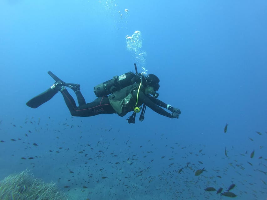 Malta: 2 Scuba Fun Dives for Certified divers - Who should book this Malta scuba day (and who should skip it)