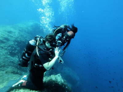 Malta: First Experience Scuba Diving Lesson - The 2.5–3.5 hour flow: from online prep to Sliema shore-water time