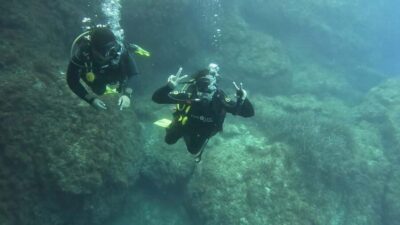 Malta: PADI Discover Scuba Diving Experience - Getting suited up: what you bring and what they provide