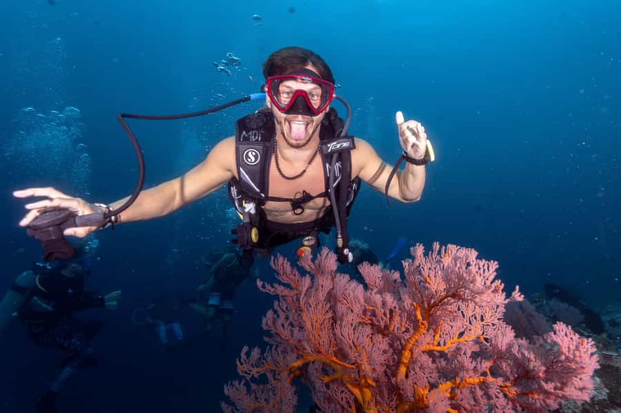 Manta Dive Gili Trawangan: Discover Scuba Diving - Language options: what to expect for non-English speakers