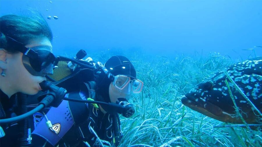 Marina di Campo: Try diving on the island of Elba - Key Details You Should Know Up Front