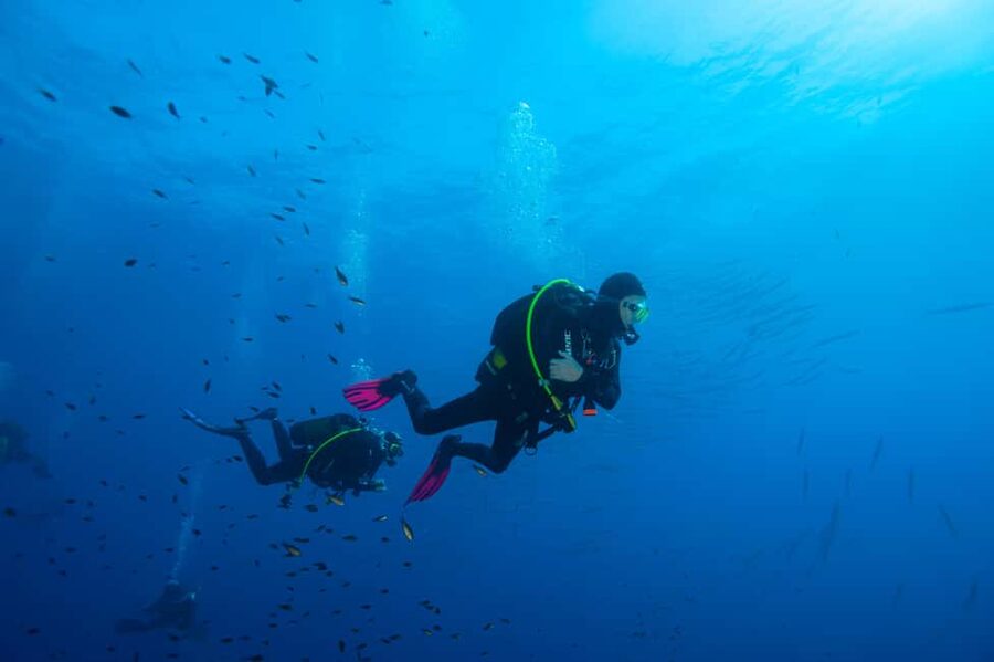 Marina di Campo: Try diving on the island of Elba - The Meeting Point in Marina di Campo: Simple Directions, No Drama
