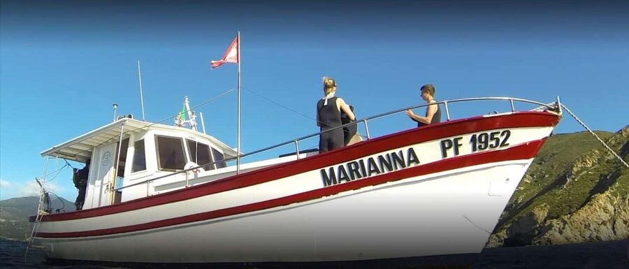 Marina di Campo: Try diving on the island of Elba - What the 20–25 Minute Underwater Session Feels Like