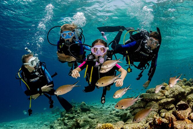 Marmaris Full Day Scuba Diving Two Dives With Lunch Hotel pickup - Safety Briefing First, Fun Second (That’s the Right Order)