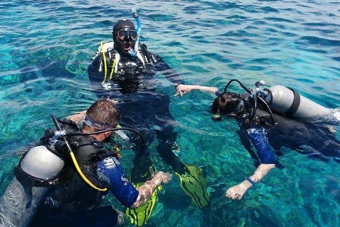 Marmaris Full Day Scuba Diving Two Dives With Lunch Hotel pickup - Two Short Underwater Sessions on One Easy Schedule