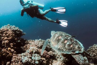 Marmaris Full Day Scuba Diving Two Dives With Lunch Hotel pickup - Equipment Included: The Biggest Beginner Saver