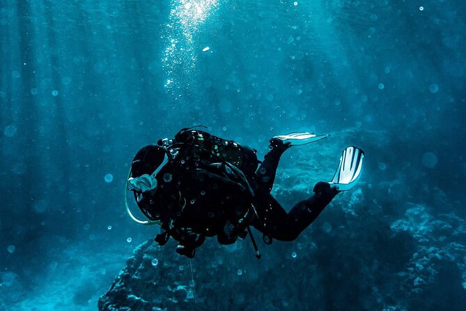 Marmaris Full Day Scuba Diving Two Dives With Lunch Hotel pickup - Sea Life and the Fish Factor: You’ll See Something