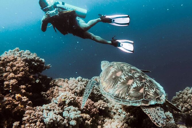 Marmaris Full Day Scuba Diving Two Dives With Lunch Hotel pickup - Equipment Included: The Biggest Beginner Saver