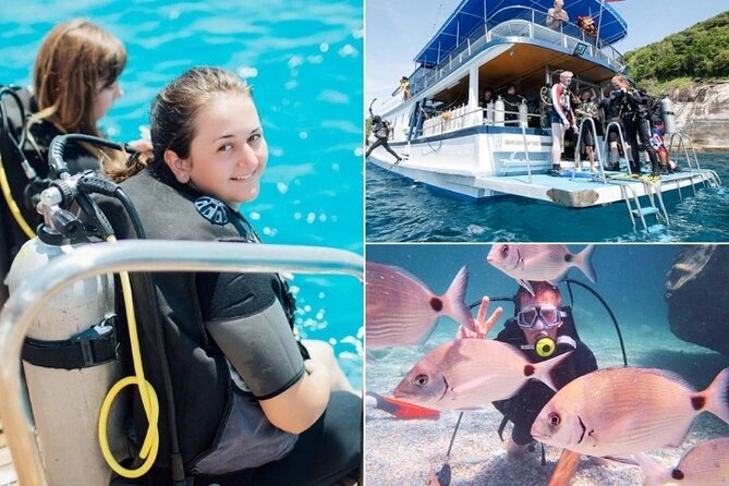 Marmaris / Icmeler : Scuba Diving with Lunch and Transfer - Key things that make this tour worth your time