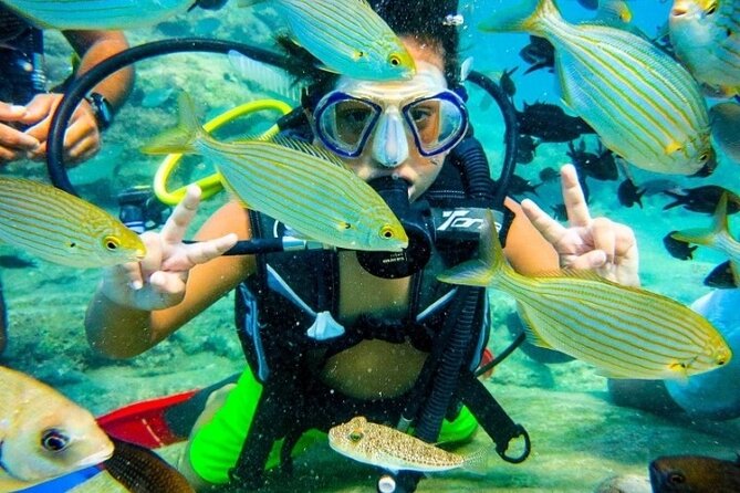 Marmaris / Icmeler : Scuba Diving with Lunch and Transfer - First-timer scuba in Marmaris and Icmeler: what you’re really buying