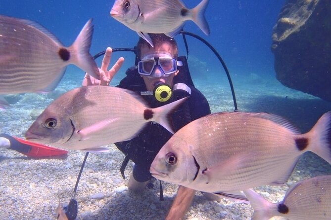 Marmaris / Icmeler : Scuba Diving with Lunch and Transfer - Who should book this experience (and who should skip it)