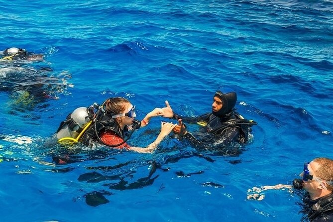 Marmaris / Icmeler : Scuba Diving with Lunch and Transfer - Weather dependence: plan smart for the Mediterranean
