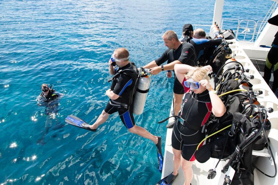 Marmaris: Scuba Diving Experience with 2 Dives and Lunch - The day at a glance: theory, training, and two underwater stops