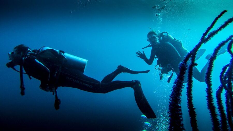 Marmaris: Scuba Diving Experience with 2 Dives and Lunch - Lunch on board, plus the shade-and-wait reality