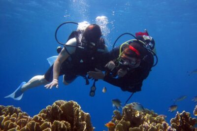 Marmaris: Scuba Diving Experience with 2 Dives and Lunch - What the crew’s style means for you in the water