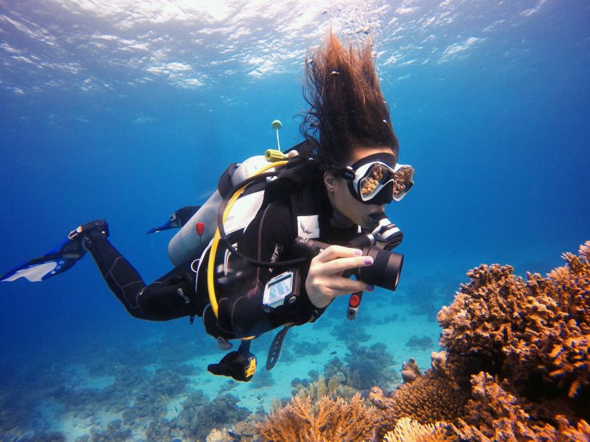 Marmaris: Scuba Diving Experience with 2 Dives and Lunch - Value for $41: what you’re paying for and how to judge it