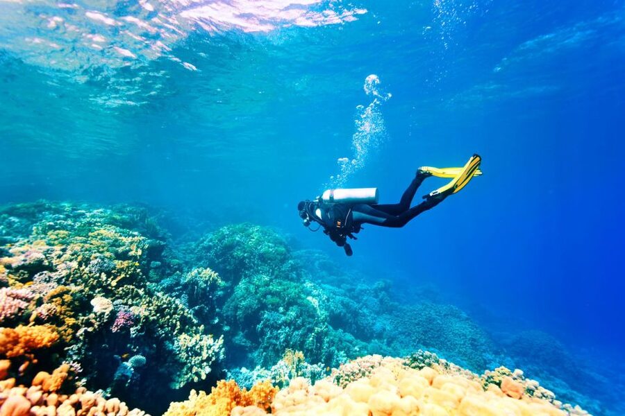 Marmaris: Scuba Diving Experience with 2 Dives and Lunch - Should you book this Marmaris underwater experience?