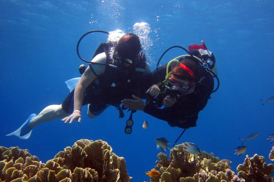 Marmaris: Scuba Diving Experience with 2 Dives and Lunch - What the crew’s style means for you in the water