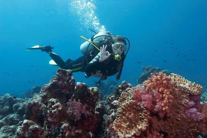 Marmaris Scuba Diving Experience with Lunch & Hotel Transfers - Key highlights at a glance