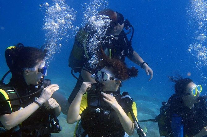 Marmaris Scuba Diving Experience with Lunch & Hotel Transfers - Picking the right spot experience: what to expect underwater