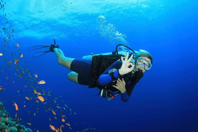 Marmaris Scuba Diving Experience with Lunch & Hotel Transfers - Safety and the team’s style: patient, interactive, and watching you