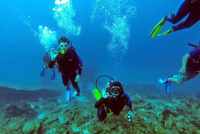 Marmaris Scuba Diving Experience with Lunch & Hotel Transfers - Price and value: what $30-ish buys you in real terms