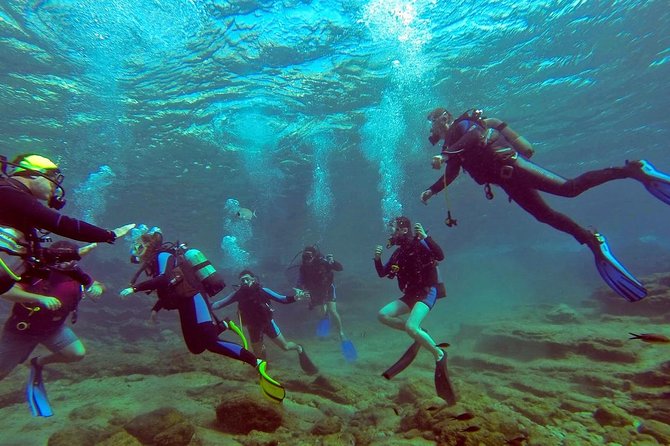 Marmaris Scuba Diving Experience with Lunch & Hotel Transfers - Transfers and boat timing: the parts that affect comfort