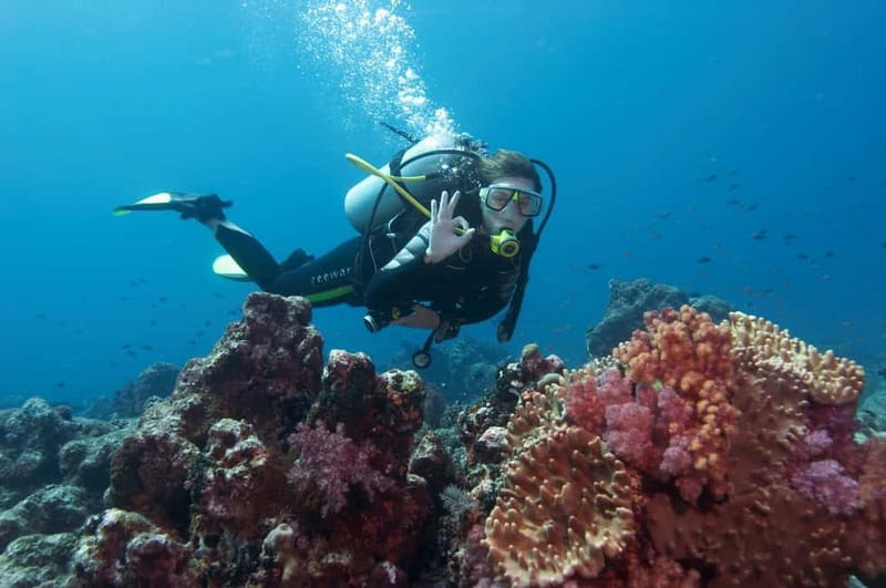 Marmaris: Scuba Diving, Incl. 2 Dive, Lunch w/Hotel Transfer - Key things I’d plan around