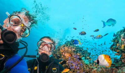 Marmaris: Scuba Diving, Incl. 2 Dive, Lunch w/Hotel Transfer - Getting Ready for Your First Underwater Session