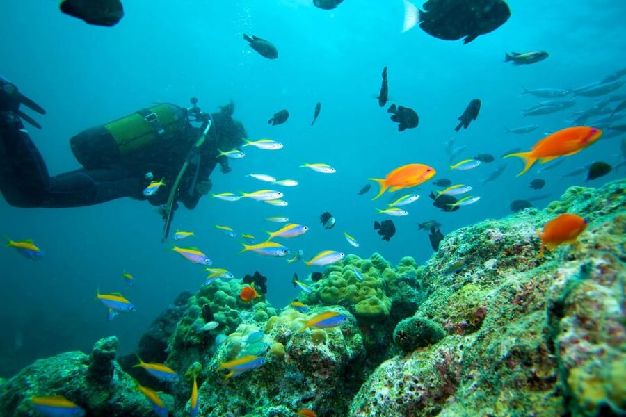 Marmaris: Scuba Diving with a Qualified Instructor - How the 7-Hour Schedule Feels From Pickup to Return