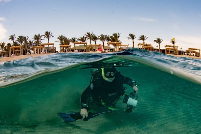 Marsa Mubarak Full Day and one intro Diving With Lunch, Transfer - Marsa Alam - Price and what you really get for $62