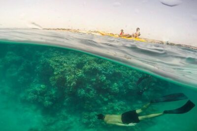 Marsa Mubarak Full Day and one intro Diving With Lunch, Transfer - Marsa Alam - Getting to the water: pickup, zodiac rides, and how the day flows