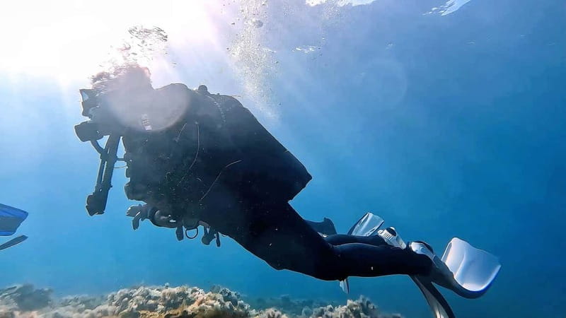 Maspalomas: Discover Scuba Diving with Pickup - What you’ll likely see in Gran Canaria’s clear water