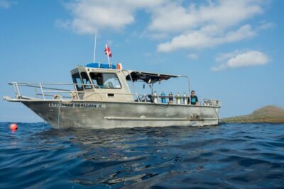 Maui: Beginner Discovery Scuba Dive Excursion from Lahaina - 150 minutes in Maui: timing, pace, and small-group attention