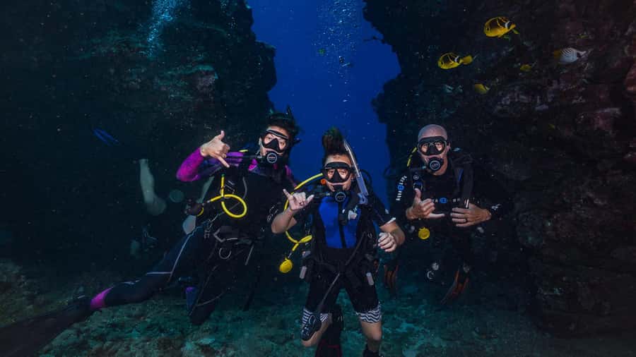 Maui: Intro to Scuba Diving from Shore - Lahaina - What you might see: turtles, reef fish, and the no-touch rule