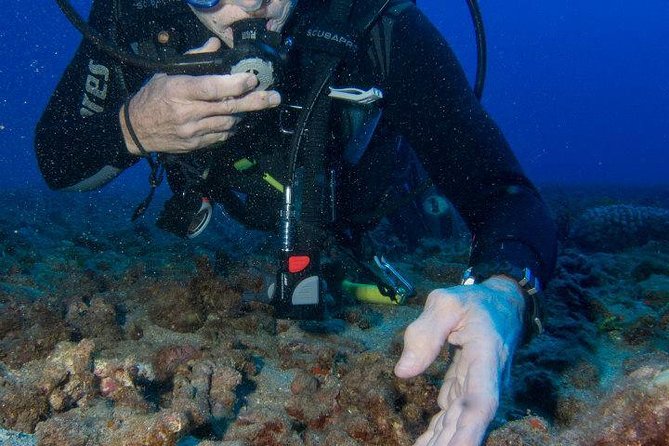 Maui Scuba Diving Introductory Lesson from Lahaina - The 2 Hours 15 Minutes Plan: Shore Skills to Reef Reality