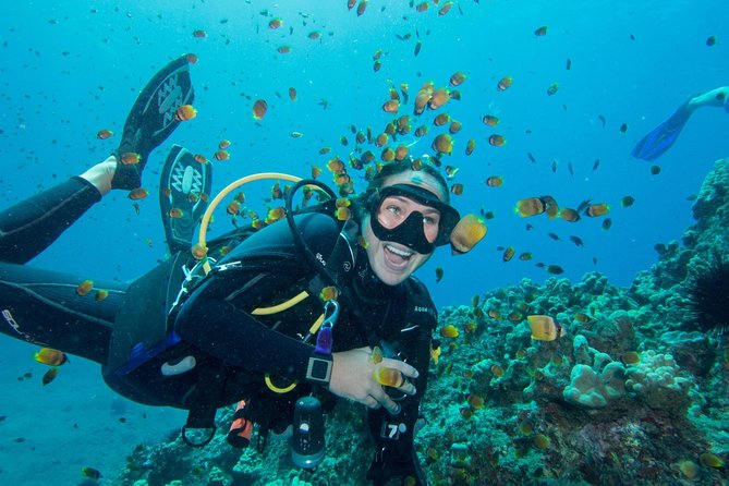 Maui Scuba Diving Introductory Lesson from Lahaina - Small Group Coaching: One-on-One Attention Makes the Difference