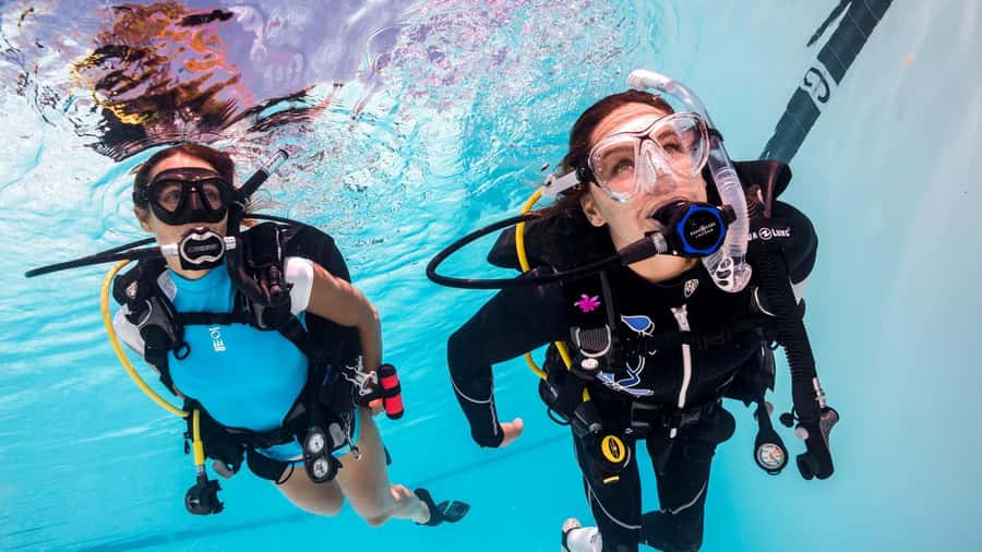 Mauritius: East Belle Mare Scuba Diving Tour - East Coast sites and why shipwrecks are more than a photo stop