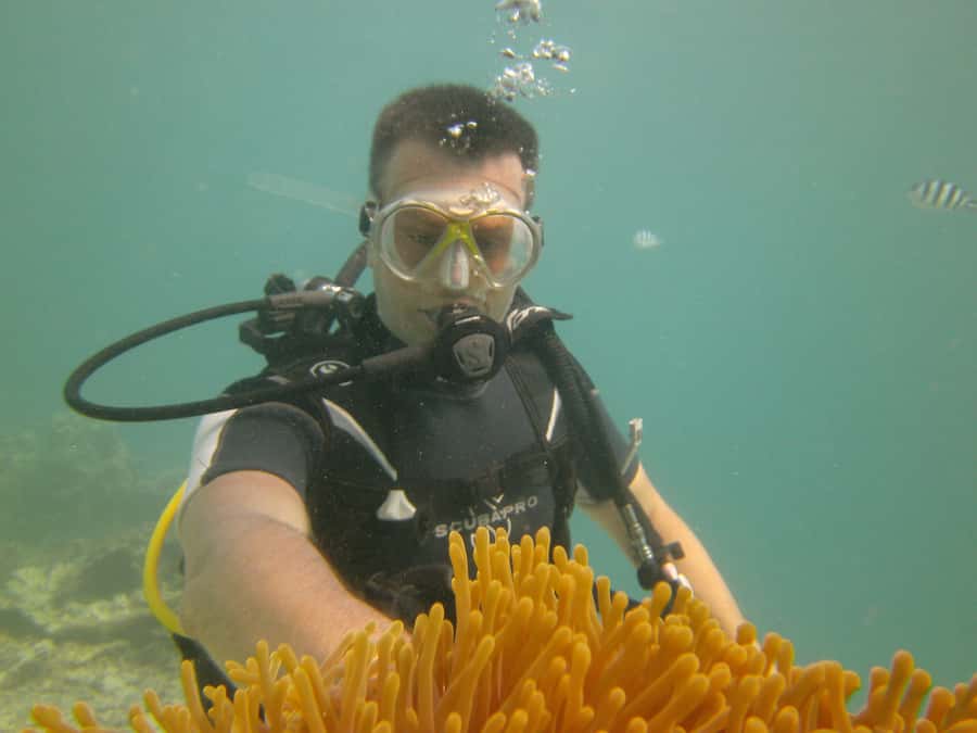 Mauritius: East Belle Mare Scuba Diving Tour - Meet your instructor: Jeremy, Curtis, and Bruno’s calm teaching style